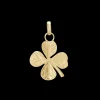 Big Four Leaf Clover