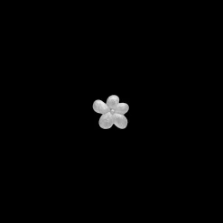 Graceful Flower