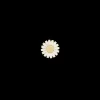 8mm Marguerite